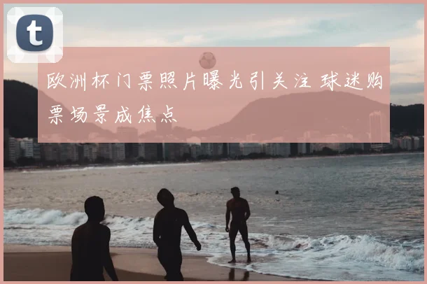 欧洲杯门票照片曝光引关注 球迷购票场景成焦点