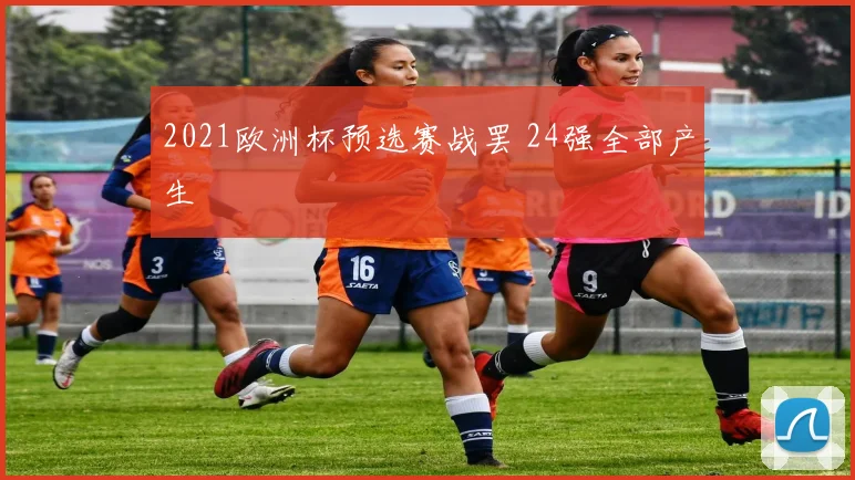 2021欧洲杯预选赛战罢 24强全部产生