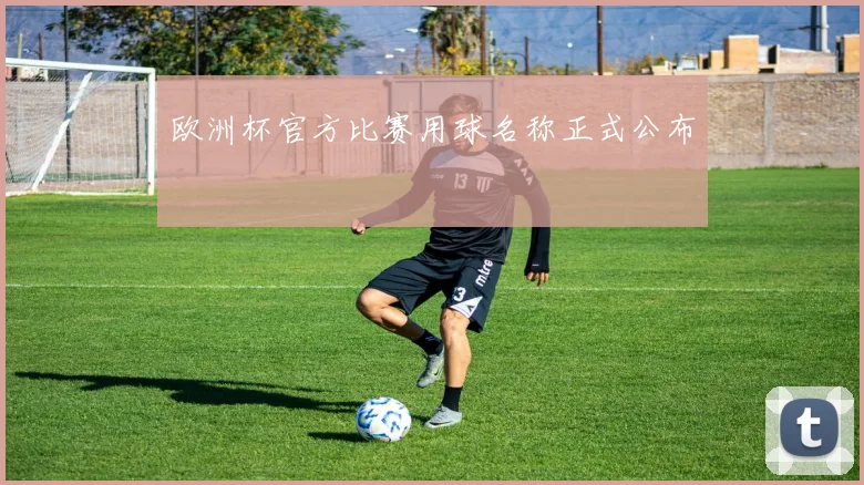 欧洲杯官方比赛用球名称正式公布