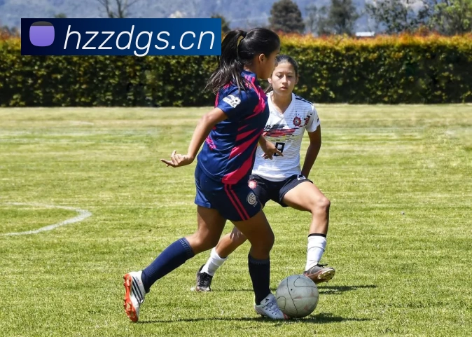 App Interface Preview